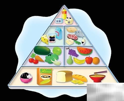 膳食评价：营养师实操关键解析