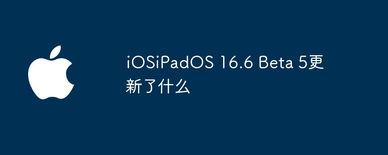 iOSiPadOS 16.6 Beta 5更新了什么