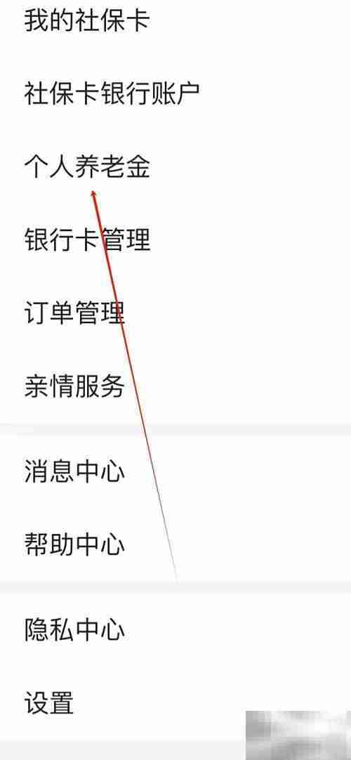 电子社保卡查个人养老金指南