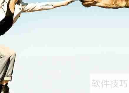 旅行社招揽顾客的技巧与策略