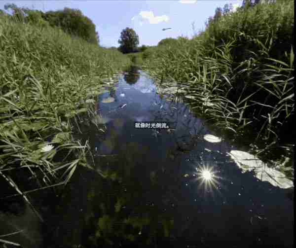 vivo Vision 探索版:398 克超轻机身 一次谨慎而勇敢的“视界”初探