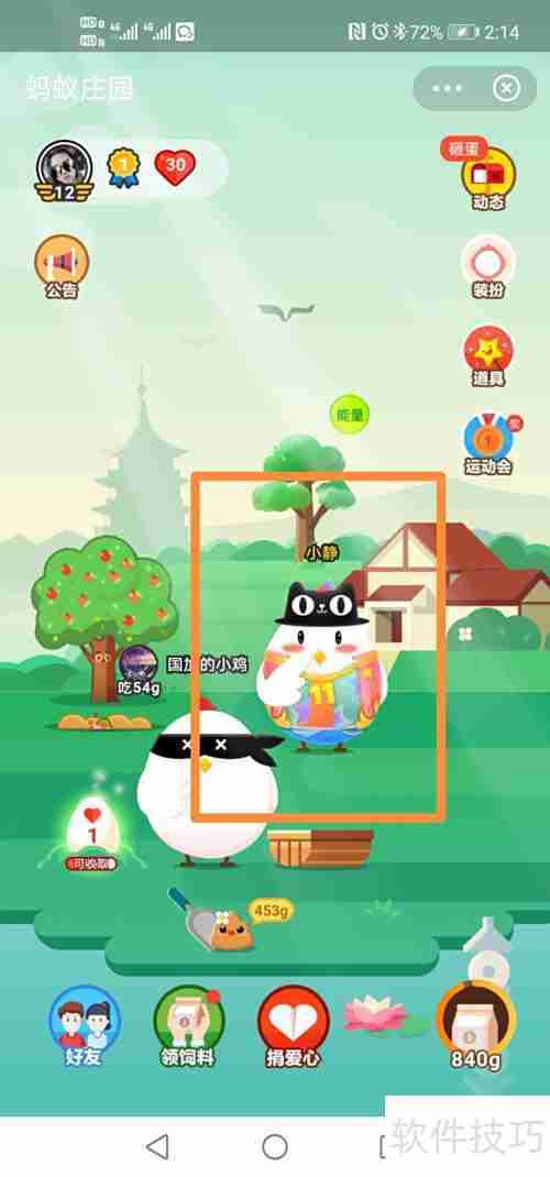 小鸡星秀套装装扮攻略