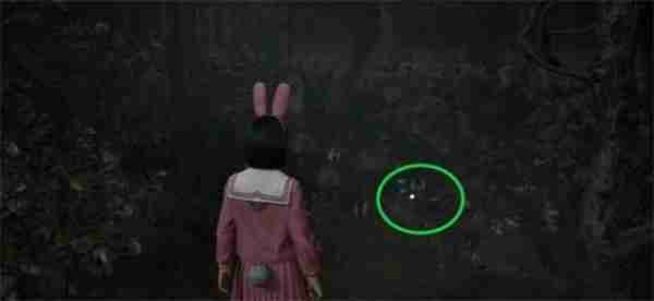 寂静岭f狐仙纹章箱子全收集指南