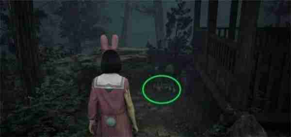 寂静岭f狐仙纹章箱子全收集指南