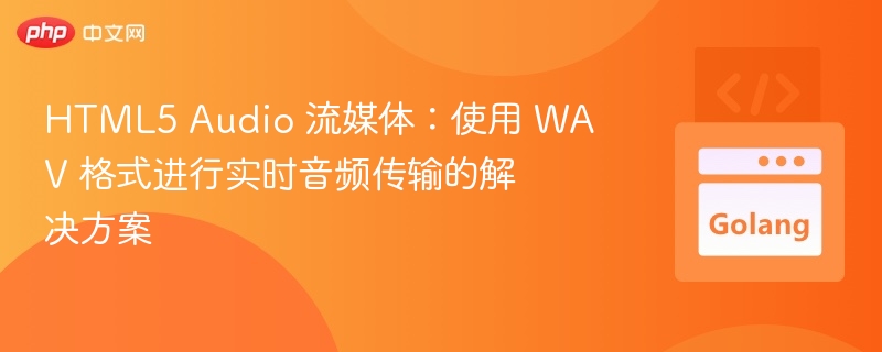 HTML5 Audio 流媒体：使用 WAV 格式进行实时音频传输的解决方案