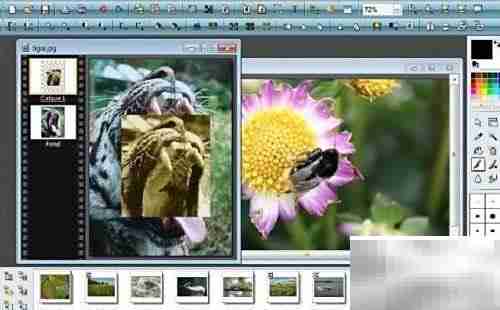免费图片编辑软件推荐