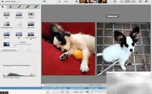 免费图片编辑软件推荐