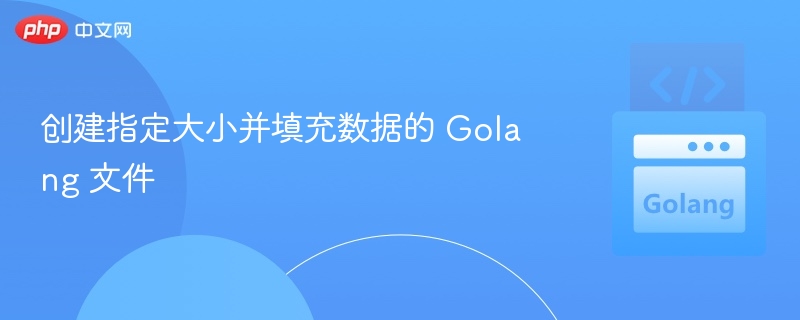 创建指定大小并填充数据的 Golang 文件