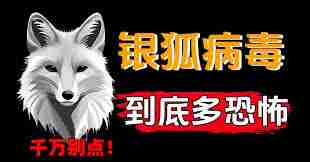 银狐病毒是什么类型病毒