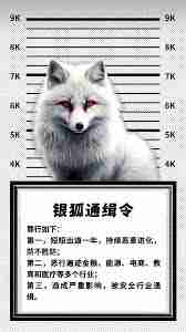 银狐病毒是什么类型病毒