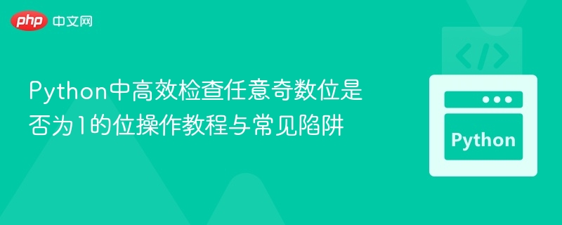 Python中高效检查任意奇数位是否为1的位操作教程与常见陷阱