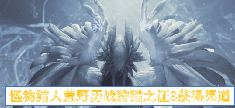 怪物猎人荒野历战狩猎之证3怎么获取