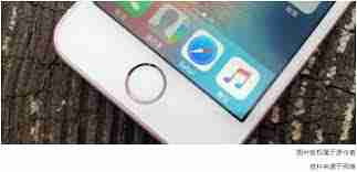 iPhone为何放弃指纹解锁