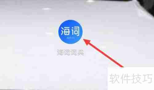 海词词典自定义身份指南