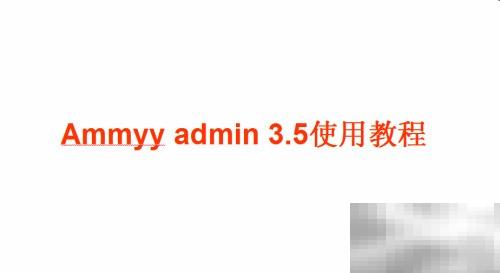 Ammyy Admin 3.5使用教程与功能详解