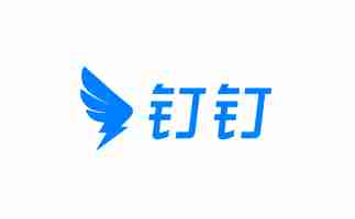 在线使用钉钉 www.dingtalk.com _钉钉网页版登录入口