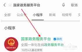 国家政务服务平台怎么操作