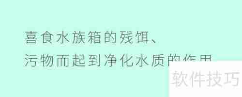 你了解清道夫的利用价值吗？