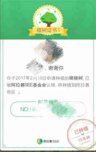 蚂蚁森林有什么用