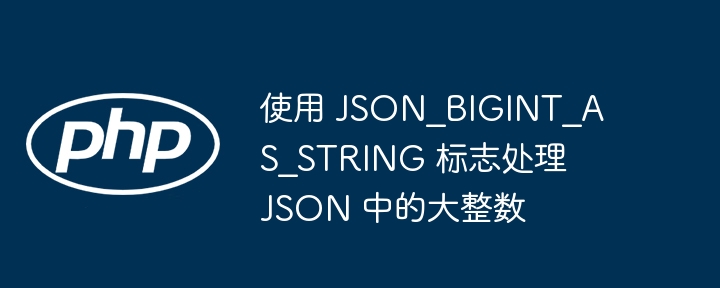 使用 JSON_BIGINT_AS_STRING 标志处理 JSON 中的大整数