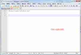 Notepad如何调节视图大小