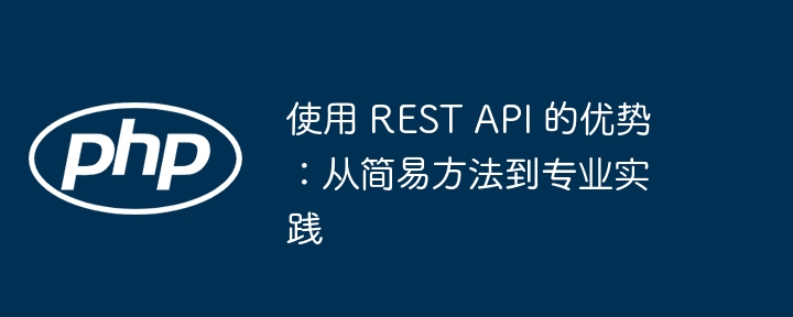 使用 REST API 的优势：从简易方法到专业实践