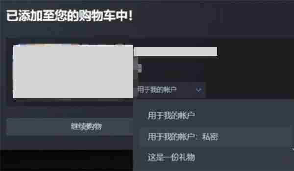 《steam》私密购买方法教程