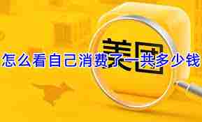 美团外卖怎么查看消费总额