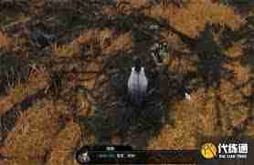 逆水寒手游狼口逃生奇遇任务怎么做-逆水寒手游狼口逃生奇遇任务攻略分享