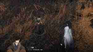 逆水寒手游狼口逃生奇遇任务怎么做-逆水寒手游狼口逃生奇遇任务攻略分享