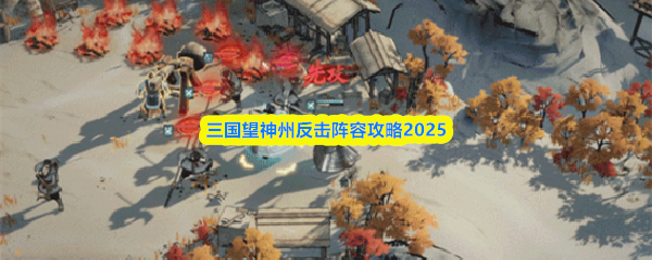 三国望神州反击阵容攻略2025