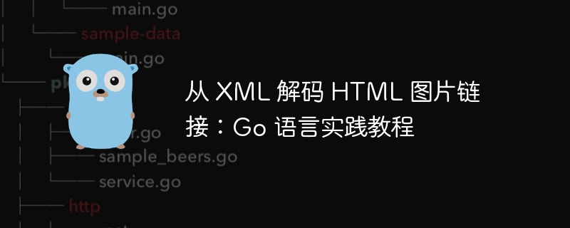从 XML 解码 HTML 图片链接：Go 语言实践教程