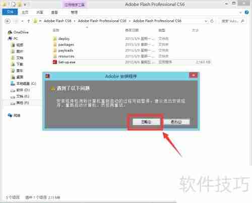 Flash CS6安装指南