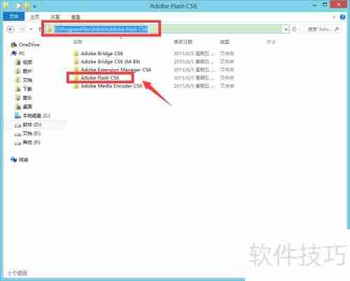 Flash CS6安装指南
