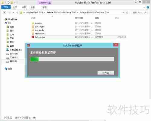 Flash CS6安装指南