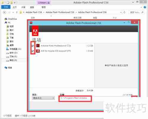 Flash CS6安装指南