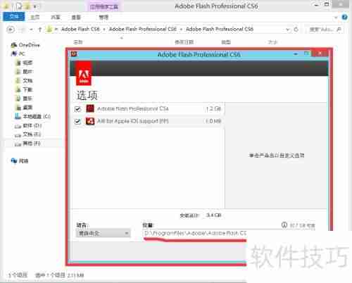 Flash CS6安装指南