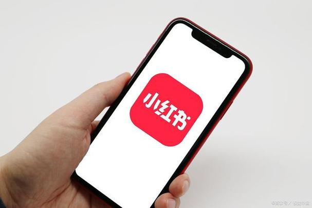 小红书怎么关注通讯录好友 通讯录好友关注方法