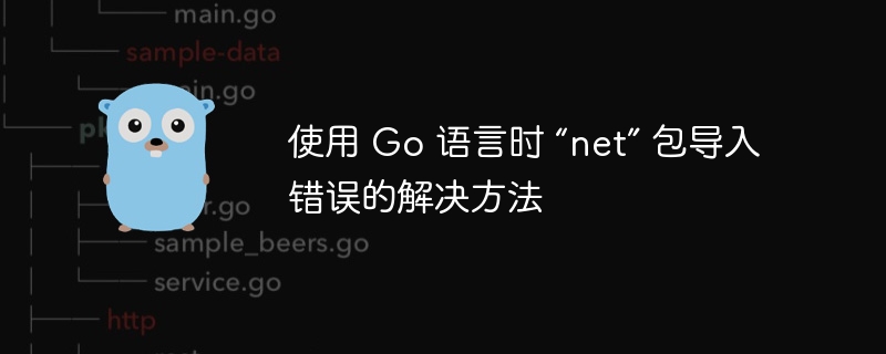 使用 Go 语言时 “net” 包导入错误的解决方法