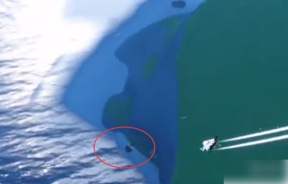 光遇正太先祖在哪 光遇鸣谢收藏家先祖位置