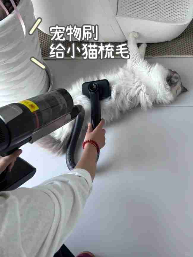 洗地机与吸尘器终极科普:功能、差异与选购全指南