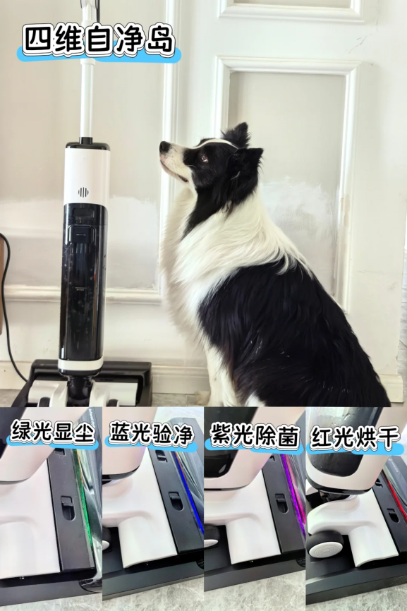 洗地机与吸尘器终极科普:功能、差异与选购全指南