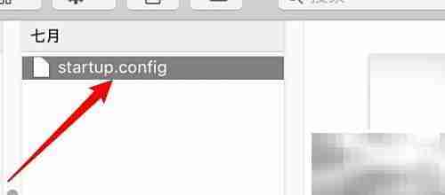 Startup Config配置指南