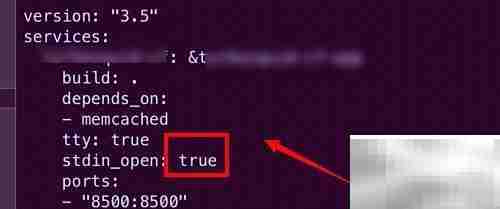 Startup Config配置指南