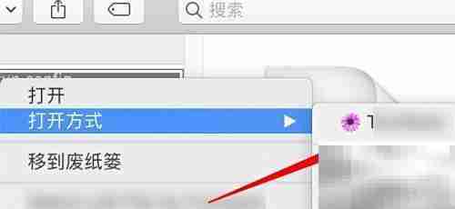 Startup Config配置指南