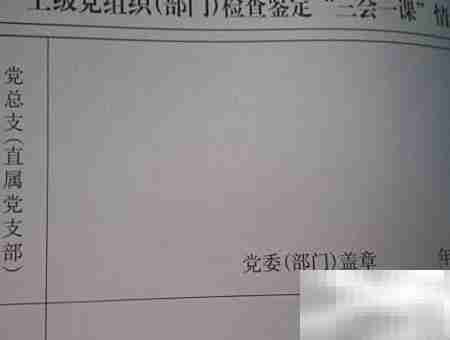 党支部手册填写规范