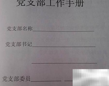 党支部手册填写指南与规范详解