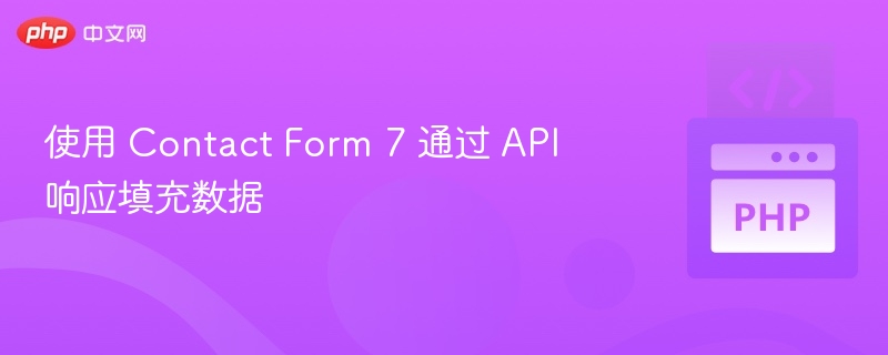 使用 Contact Form 7 通过 API 响应填充数据