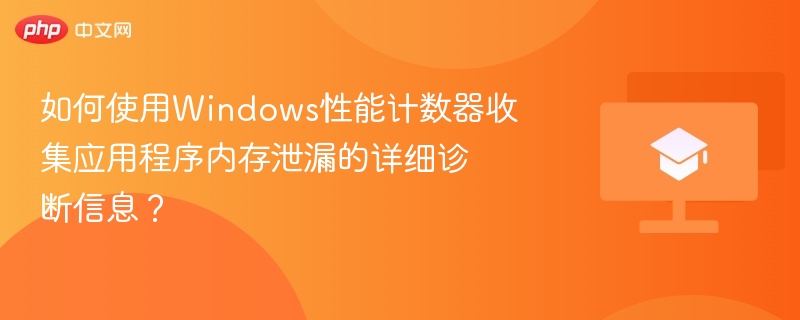 如何使用Windows性能计数器收集应用程序内存泄漏的详细诊断信息？