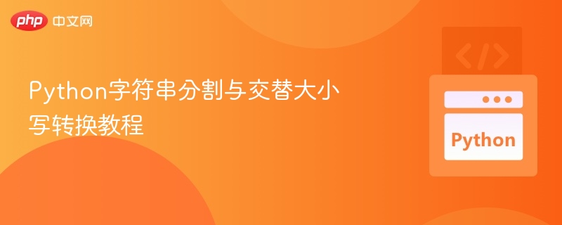 Python字符串分割与交替大小写转换教程